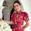 Sườn Xám Cổ Tàu Trung Hoa Lụa Ánh Kim Tone Đỏ Sang Trọng Mia Dress