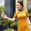 Sườn Xám Lụa Nhung Tuyết Vàng Trung Hoa Sang Trọng Nenito Dress